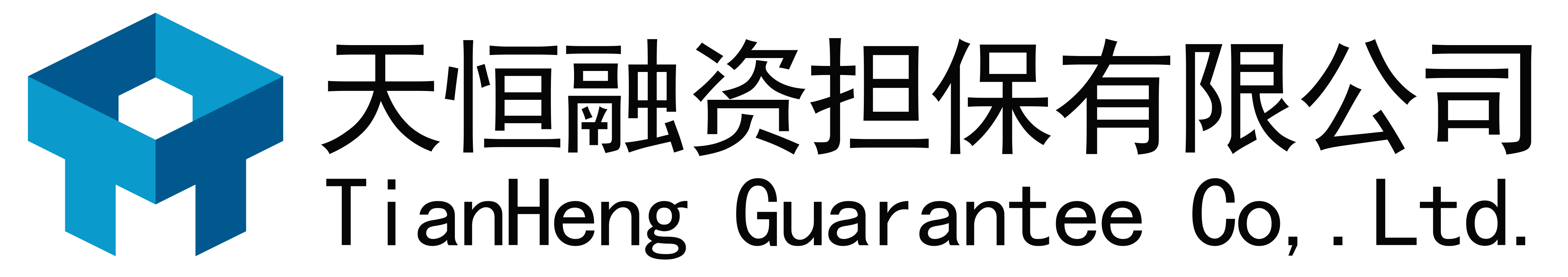 天恒融資擔(dān)保有限公司